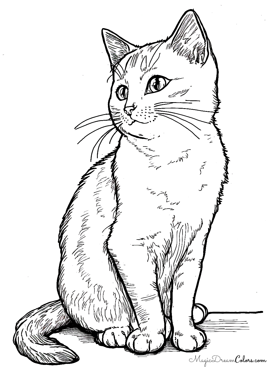 Katze als Malvorlage zum ausdrucken | | MagicDreamColors